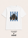 Perrito cinto